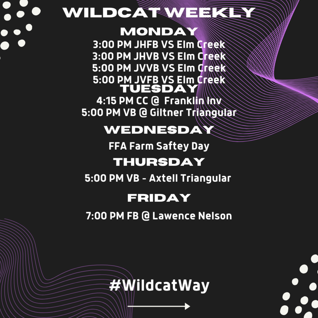 weekly wildcats